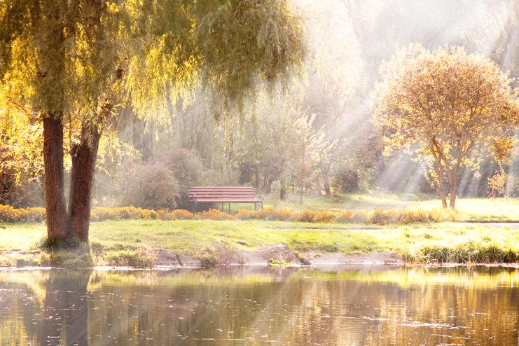 Herbstliche Parklandschaft mit einer Bank am Teich und Sonnenstrahlen, die durch Bäume scheinen.